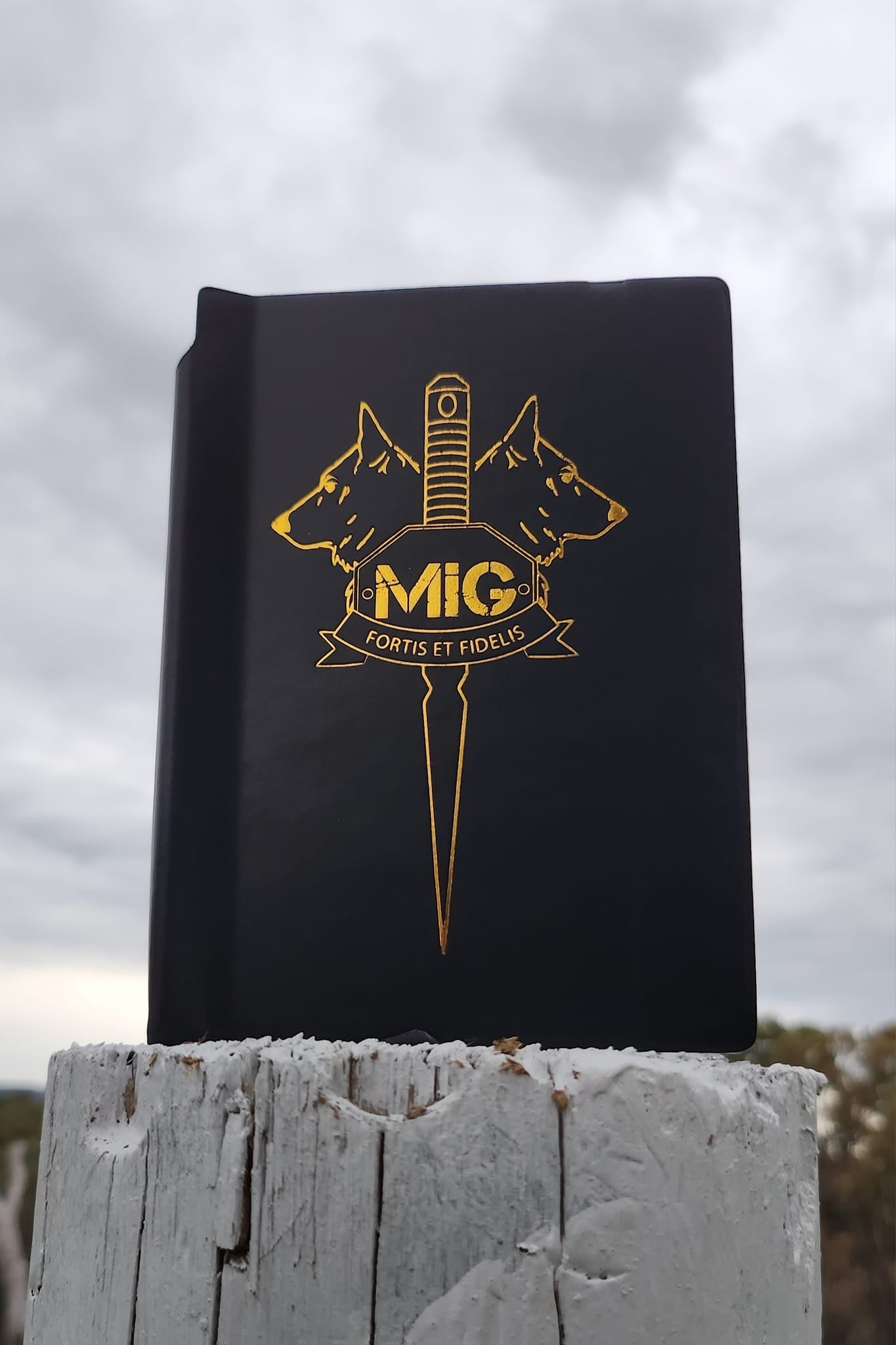 MIG Notebook
